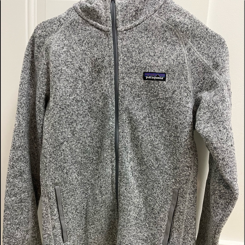 Patagonia Better Sweater Hoodie